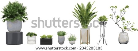Set of Transparent Plant, cactus plant Art, Stunning Cut-Out Plant Images transparency backgrounds for illustration, digital composition and architecture visualization Royalty-Free Stock Photo #2345283183