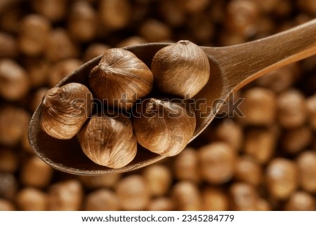 Peeled hazelnuts. Hazelnut kernels lie in wooden spoon. Top view of nuts close-up. Advertising photography for marketplaces or online stores.