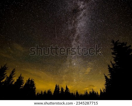The Perseid Meteor Shower in colorful sky full of stars, long exposure, shadow of the black pine trees. Elements of this image furnished by NASA. Noise and grain included.