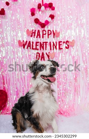 Dog in Valentine's Day Portrait, happily having fun in front of a red background filled with hearts with the text "Happy Valentine's Day".