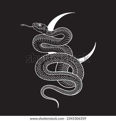 Serpent over the crescent moon line art and dot work. Boho chic tattoo, poster, tapestry or altar veil print design vector illustration Royalty-Free Stock Photo #2345306359