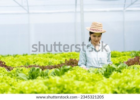Asian woman grows green oak lettuce in a greenhouse using organic hydroponic system.Woman checking before harvesting.