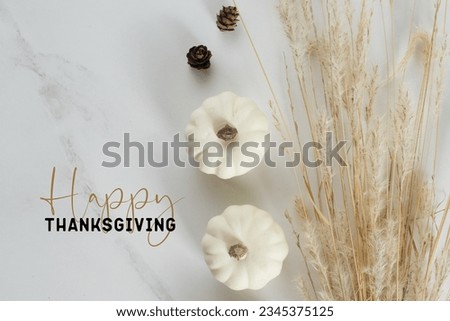 Modern minimalism style thanksgiving background with white pumpkins traditional clean style flat lay,