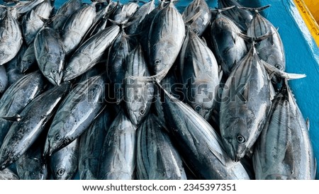 Fresh caught Tuna fish displayed for sale in a village market. Royalty-Free Stock Photo #2345397351