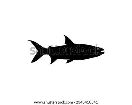 Silhouette of the Hydrocynus goliath, also known as the goliath tigerfish, giant tigerfish, or mbenga, is a very large African predatory freshwater fish of the family Alestidae. Vector Illustration