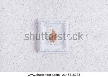 Summer white picture frame with seashell on with a sand background and sand. Tropical vacation or holidays concept. Summer memories.