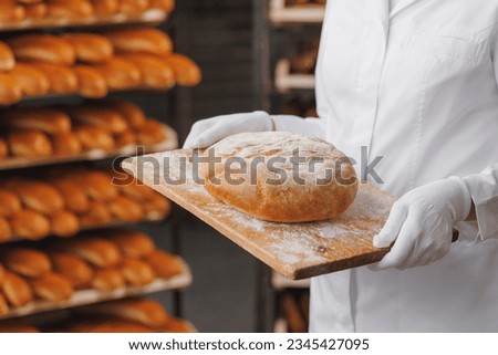 Young woman baker in chef uniform holding freshly craft baked bread. Industrial food production. Royalty-Free Stock Photo #2345427095