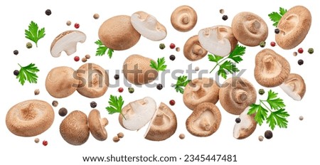 Shiitake mushrooms and mushroom pieces with spice and herbs flying in air. File contains clipping paths. Royalty-Free Stock Photo #2345447481