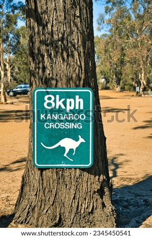 Kangaroo warning sign on a tree along a dirt road in Western Australia