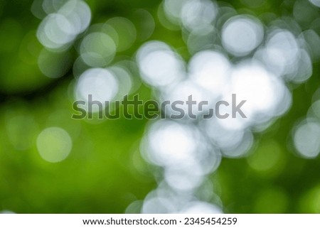 Bokeh of light nature,blured background,de focus.sunlight shining through the leaves of trees.abstract nature background