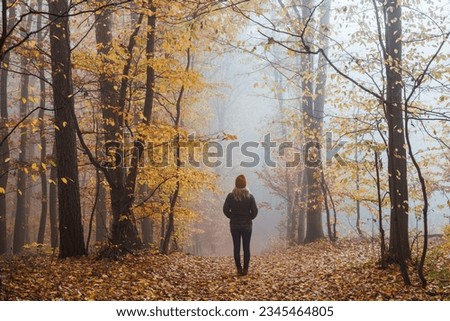 Woman walks at foggy autumn forest. Moody atmosphere in misty woodland at fall season Royalty-Free Stock Photo #2345464805