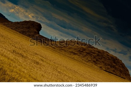 A picturesque, artistically crafted pile of manure in a field. Warm, pleasant colours, a charming sight. Royalty-Free Stock Photo #2345486939