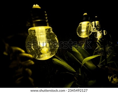 solar lights in a patio with plants