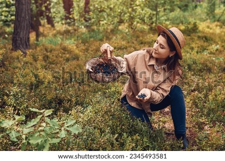 Woman picking bilberries blueberries and lingonberries in autumn forest putting them in basket. Royalty-Free Stock Photo #2345493581