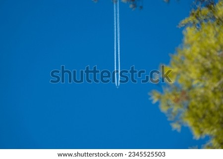 BOTTOM UP: Flying airplane high in the sky, leaving behind condensation trails. View of an aircraft and contrails from under a green pine canopy. Modern means of air travelling and transportation.