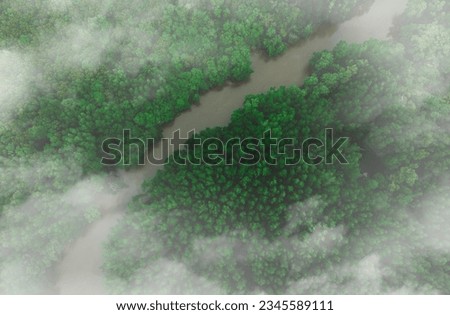 Aerial view of the dark green forest and river. The rich natural ecosystem of the rainforest The concept of natural forest conservation and recycling.
