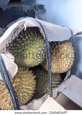 packaging Durians in the Cart box, Most popular fruit in the asian