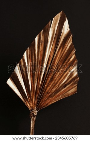 Gold dry palm leaf on black background close up. Botanical card. Fine art poster