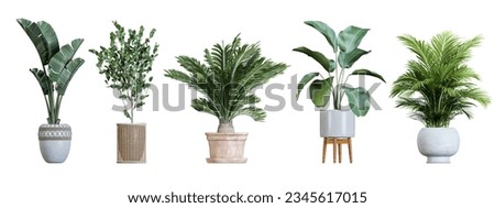 Plant in pot. Green plant isolated on white background. PNG file with transparent background also available. Cutout foliage in a stone plant pot.  Royalty-Free Stock Photo #2345617015