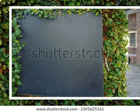 Mock up blank empty space of black signboard for store or restaurant or cafe or company on wall with ivy around it, billboard, template, chalkboard