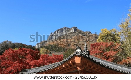 Nature Korea, Maple, Maple Tree, Blue Sky, Autumn Maple, Korean Maple,baekhakbong