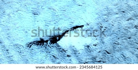 the Loch Ness Monster,  abstract photography of the deserts of Africa from the air. aerial view of desert landscapes, Genre: Abstract Naturalism, from the abstract to the figurative, Royalty-Free Stock Photo #2345684125