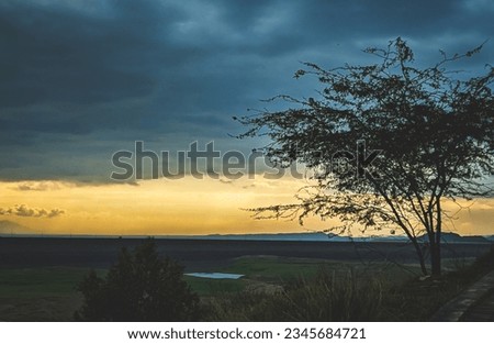 Captivating sunset with dramatic dark clouds, casting a serene silhouette of a tree in the foreground.