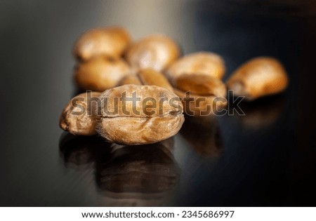 Macro of Wheat Isolated on Black Background in Horizontal Orientation
