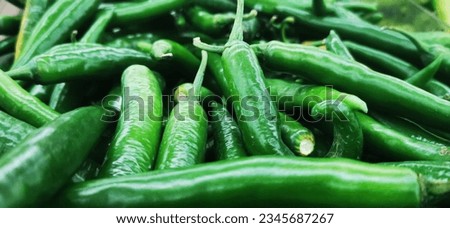 A picture of a large green chili neatly arranged in a supermarket.