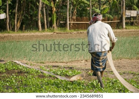 Agricultural sector of Bangladesh. A farmer sprinkles water through a pipe in his crop field. The photo was taken on November 27, 2022 in Rajbari, Bangladesh.