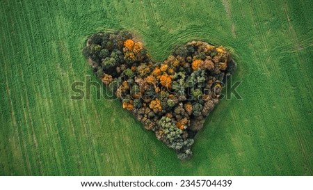 Aerial drone photography of naturally heart-shaped patch of trees located among green fields near Wrocław, Poland - place called "Grove of Love" (Zagajnik Miłości) Royalty-Free Stock Photo #2345704439