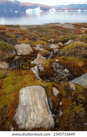 Fall colors; Scoresby Sund, Greenland; Granite boulders; Scoresby Sund, Greenland; Granite landscape; Scoresby Sund, Greenland