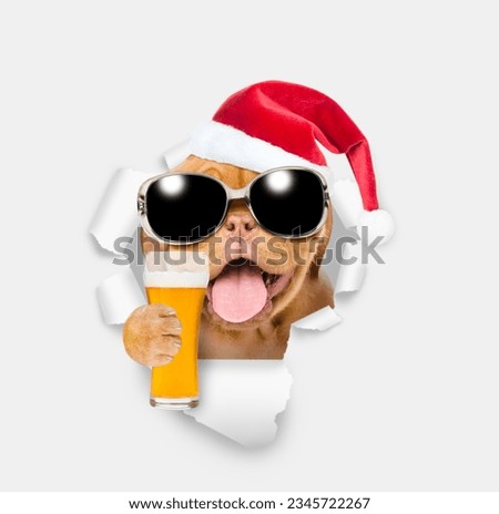Happy puppy wearing sunglasses and red santa hat holding glass of beer and looking through the hole in white paper 