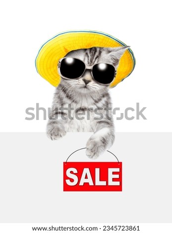 Tabby kitten wearing sunglasses and summer hat shows signboard with labeled "sale" above empty white banner. isolated on white background