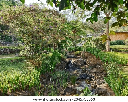 The nature scene of bush and trees with leaves also small rocky stream through it, located in a countryside near Bandung City, Indonesia.