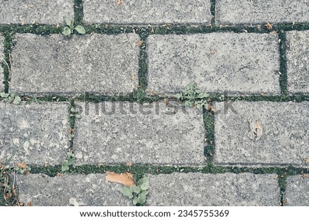 Paving slabs. Seamless textures, amenable to stacking, close-up rows. Paving slabs, copy space. Covering with modern textured paving slabs of square shape. High quality photo