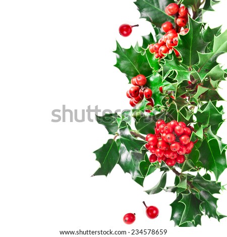 Christmas border with  holly plant  isolated on white background