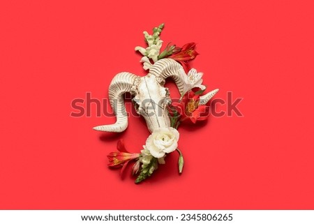 Skull of sheep with different beautiful flowers on red background