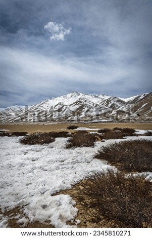 Snow bands beautifully trace the peaks of the brown mountain range as they create a distinctive desert palette in Ladakh. Winter picture in the frigid deserts offers a mix of tranquility and despair.