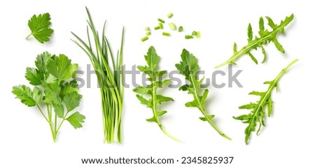 set collection of fresh Mediterranean herbs: parsley, chives and arugula leaves and chopped pieces isolated over a white background, herbal food and cooking design elements, top view, flat lay Royalty-Free Stock Photo #2345825937