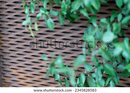Abstract background of an overgrown fence. High quality photo
