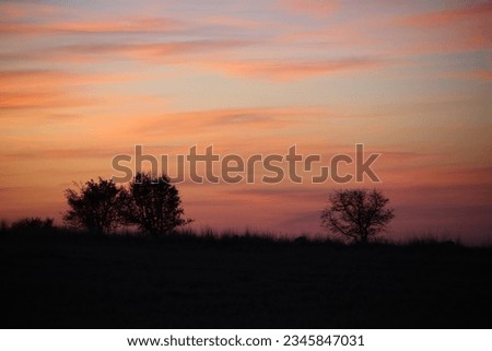Red sunset and tree silhouette
