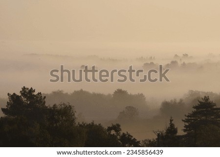 Loire valley on a foggy morning, France.
