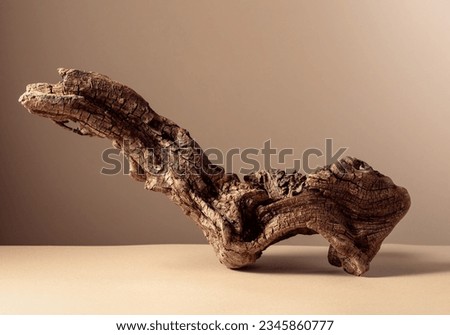 Old dry wooden snag on a beige background. Place your product in the foreground. Copy space. Royalty-Free Stock Photo #2345860777