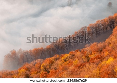 A foggy autumn day at the Burg Teck