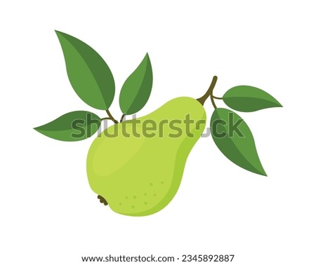 Green pear on a branch with leaves, eps 10 format