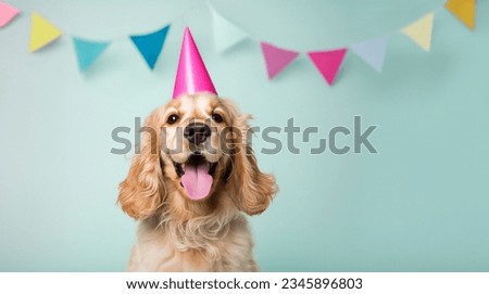 Happy cocker spaniel wearing a party hat, celebrating at a birthday party with colorful bunting in the background