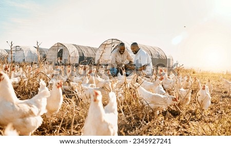 Men, agriculture checklist and chicken in sustainability farming, eco friendly or free range, industry teamwork. Happy african people or farmer outdoor with animals health, clipboard and inspection Royalty-Free Stock Photo #2345927241