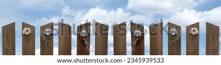 Banner wooden fence with decor owls on the background of the sky