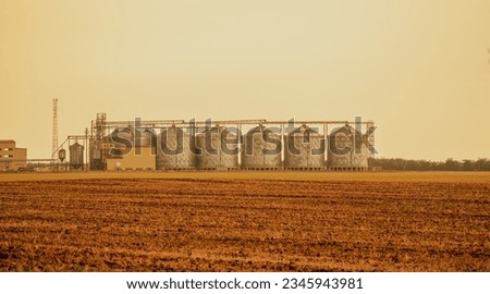 Silos and granary elevator. Modern agro-processing manufacturing plant with grain-drying complex. processing, drying, cleaning, and storing agricultural products in wheat, rye or corn fields